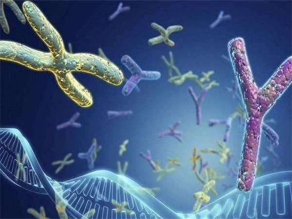 格鲁吉亚一次试管婴儿助孕费用是多少？全部费用！